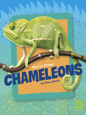 cover image of Get to Know Chameleons